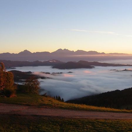 Gostisce In Penzion Stari Vrh Poljane nad Škofjo Loko Extérieur photo